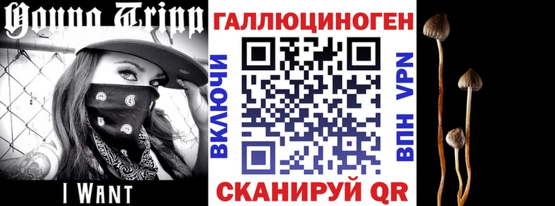 Псилоцибиновые грибы GOLDEN TEACHER  Каргополь 