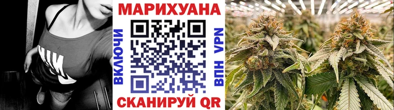 blacksprut ссылки Каргополь Каннабис конопля